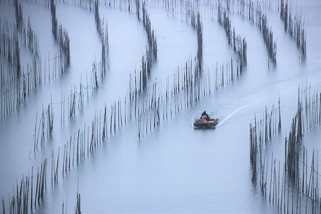 冬至|建始也，冬來也|