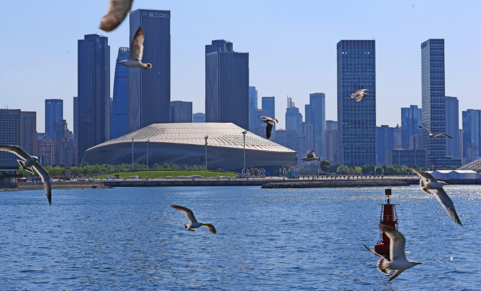 擲地有聲，重拳出擊！寰宇原木SPC海洋扳，高端裝飾的不二之選。